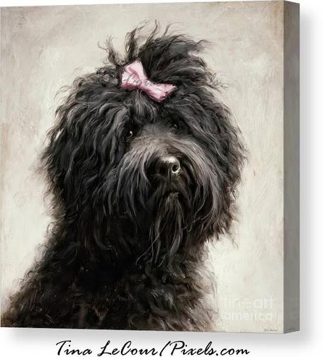 This is a portrait of a sweet Puli dog wearing her pink bow called Little Miss Moptop!