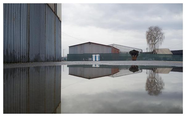 A photo of a puddle reflecting a storage houses and two portapotties and a tree and stuff...