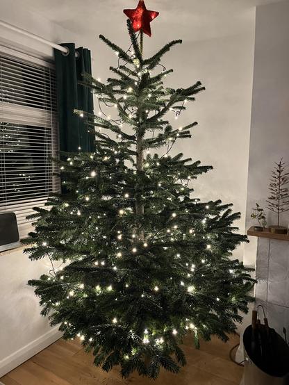 A christmas tree with just lights and a red star in the corner of a room 