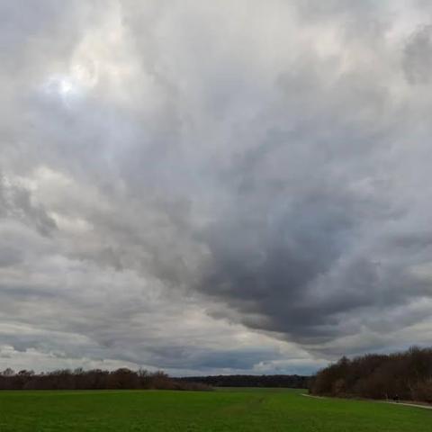 Weite Landschaft unter einem dramatisch bewölkten Himmel. Der obere Bildbereich zeigt dichte, graue Wolken, die eine stürmische oder regnerische Wetterlage andeuten. Darunter erstreckt sich ein grünes Feld mit kurzem Gras, das von einer Reihe kahler Bäume am Horizont begrenzt wird – typisch für Spät­herbst oder Frühling. Der Horizont liegt tief, wodurch die Wolkenformationen besonders betont werden. Die Szene wirkt ruhig, atmosphärisch und leicht melancholisch.