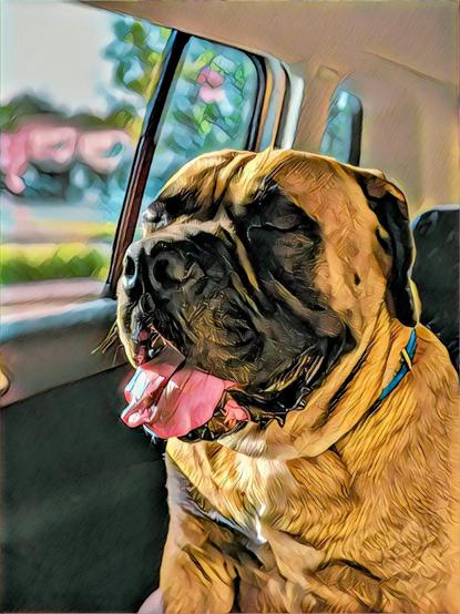 Samson in the sunlight