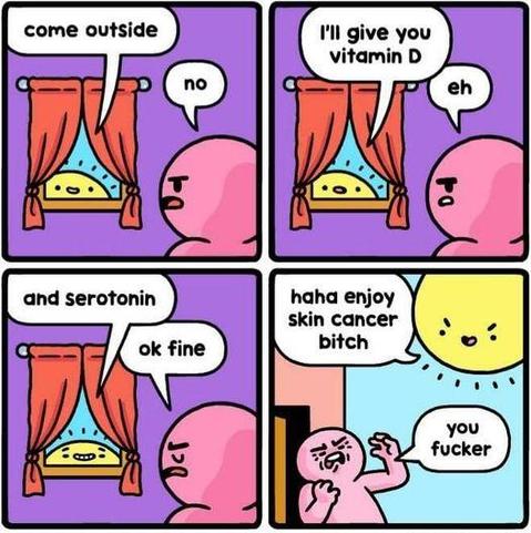 4 panel comic: the first 3 panels show a person inside a house, talking to the rising sun outside their window. First panel text is the sun saying "Come outside", and the person saying "No" with an angry look on their face. Second panel has the Sun saying "I'll give you vitamin D" while the person just says "eh". Third panel the Sun says "and serotonin" and the person says "Ok fine". The final panel shows the person walking outside - the Sun says "haha enjoy skin cancer bitch" while the person winces and says "you fucker"