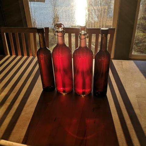A photo of 4 bottles of wine with the sun shining through them. Two large bottles in the middle are clear glass and two on either side are green glass. The sun shining through chair backs causes a striped effect. The wine is red and clear. Details of the process below.

Day 0 Pick grapes.

Day 1 smooshed grapes.

Day 10 grapes strained 5 gallons, 3.94 lbs of honey with water 1.25 gal added, and bentonite.

Racked on day 19,  topped up with 1.5 lbs honey in water totaling 64 fl oz.

Day 61 racked again, FG 1.001, added sorbate and de-gassed.

Day 62 back sweetened with 1.7 lbs honey in water totaling 32 oz fl oz. and pasteurized topping up the carboy and adding chitosan.

Day 64 added some pectic enzyme to get rid of what I suspect was pectin haze.

Day 90 Bottled.

