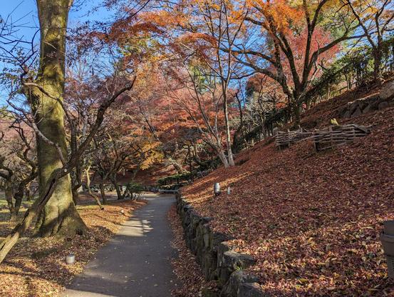 Beneath the Odoi the Tenjingawa river is flanked by groves of maple trees that come alive in the autumn.