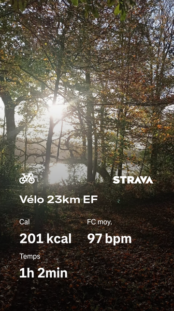 Photo de forêt avec lac en arrière fond et joli lumière qui monte , données Strava qui annoncent 23km en 1h  en effort fondamental 201 calories brûlées fréquence cardiaque moyenne a 97battements par minute