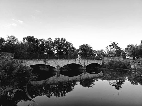 Forrest Park Bridge