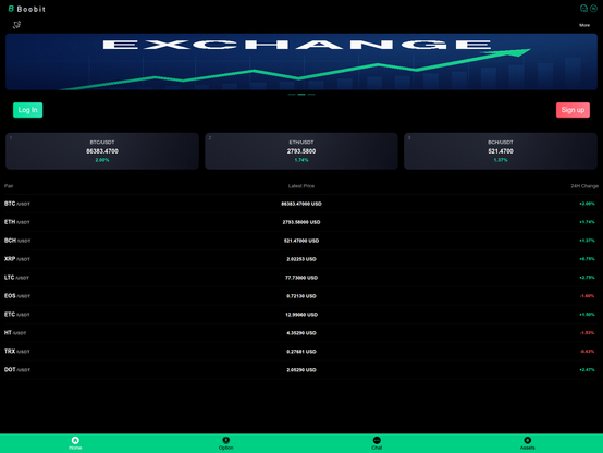 Screenshot of phishing site