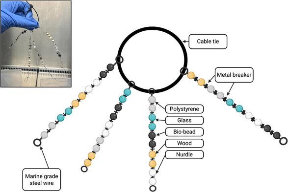 El experimento se hizo en un amplio recorrido, desde tramos fluviales influenciados por aguas residuales hospitalarias hasta el medio marino.
