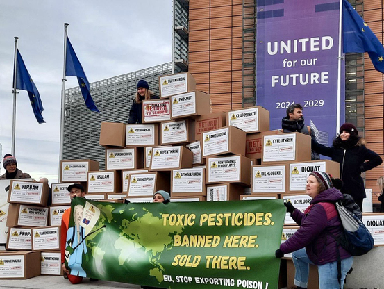 📦 Today, 75 boxes of EU-banned #pesticides were returned to the European Commission in Brussels 🗺️ From Brazil to India, Indonesia to South Africa, citizens sent a clear message: toxic exports must stop 📢 https://www.pan-europe.info/press-releases/2025/12/%E2%80%9Creturn-sender%E2%80%9D-citizens-deliver-banned-eu-pesticides-back-brussels  #ToxicTrade #ReturnToSender #StopToxicTrade #AgrotoxicsKiLL #StopAgrotoxics #StopEUMercosur #StopFTA 