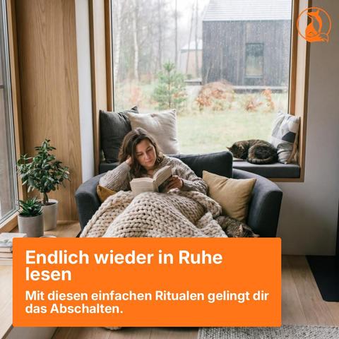 Bewertungen zu alltagsfuchs.de