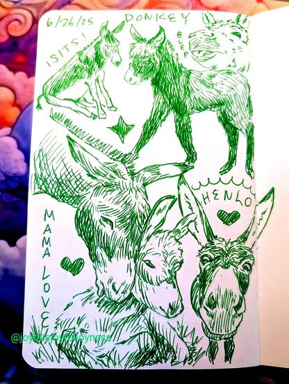 Sketchbook page of 6 donkey sketches in green pen. The top of the page has text that reads 6/26/25 Donkey. The top left is a donkey sitting and the words I Sits! Top right is a baby donkey in profile walking and a donkey face sticking its tongue out and the word Blep. Bottom left is a large drawing of a mama donkey caressing her baby who is sitting in the grass with the words Mama Love and a heart. To the right is a closeup of a donkey looking at the viewer with the word Henlo and a heart.