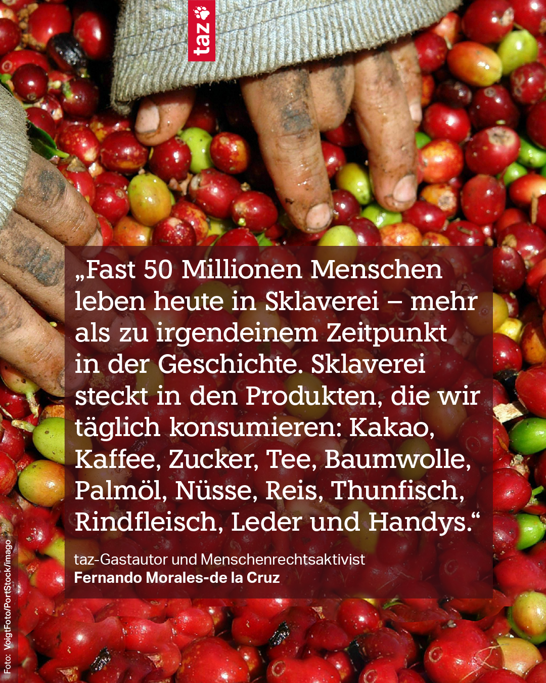 Hände in frisch geernteten Kaffeebohnen. Dazu das Zitat:<br>„Fast 50 Millionen Menschen leben heute in Sklaverei – mehr als zu irgendeinem Zeitpunkt in der Geschichte. Sklaverei steckt in den Produkten, die wir täglich konsumieren: Kakao, Kaffee, Zucker, Tee, Baumwolle, Palmöl, Nüsse, Reis, Thunfisch, Rindfleisch, Leder und Handys.“<br>taz-Gastautor und Menschenrechtsaktivist Fernando Morales-de la Cruz