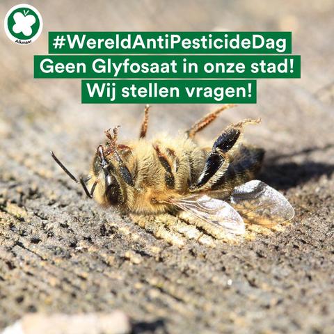 Een afbeelding van een dode bij. Met op de afbeelding de tekst: "#WereldAntiPesticideDag Geen Glyfosaat in onze stad! Wij stellen vragen!
