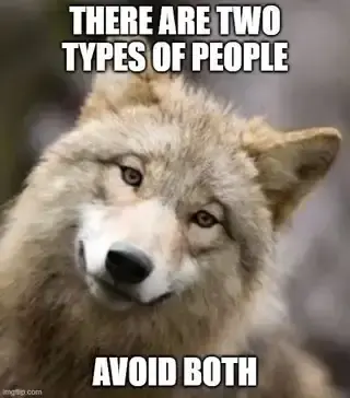 A picture of a wolf with a tilted head. Text above and below the wolf's face: "There are 2 types of people - Avoid Both"