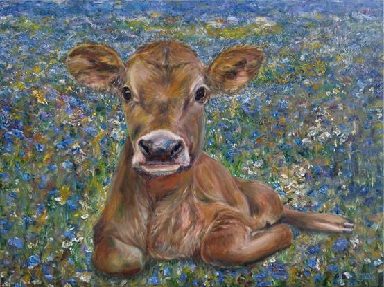 Original oil painting of acute  brown calf resting in the cornflowers field. Animal art by Jura Kuba (Jurate Daniel). Oil on stretched canvas, 80 cm x 60 cm. 