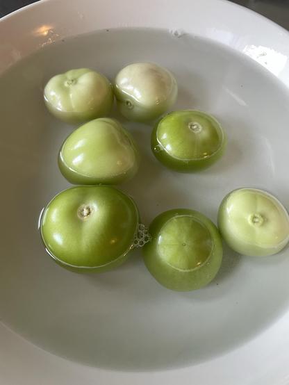7 green globes float in a white bowl water bath. A few bubbles hug the edges