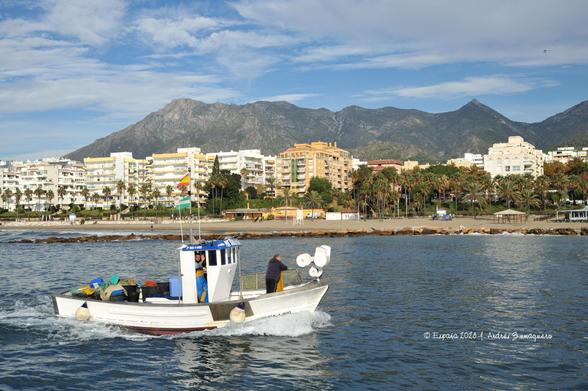 Una embarcación pesquera se adentra por la bocana del puerto. Se ven dos personas, una cerca de la proa y otra en el puente de mando. De tras y al fondo de lo fotografía se ven Sierra Blanca y edificios de primera línea del paseo marítimo de la ciudad.