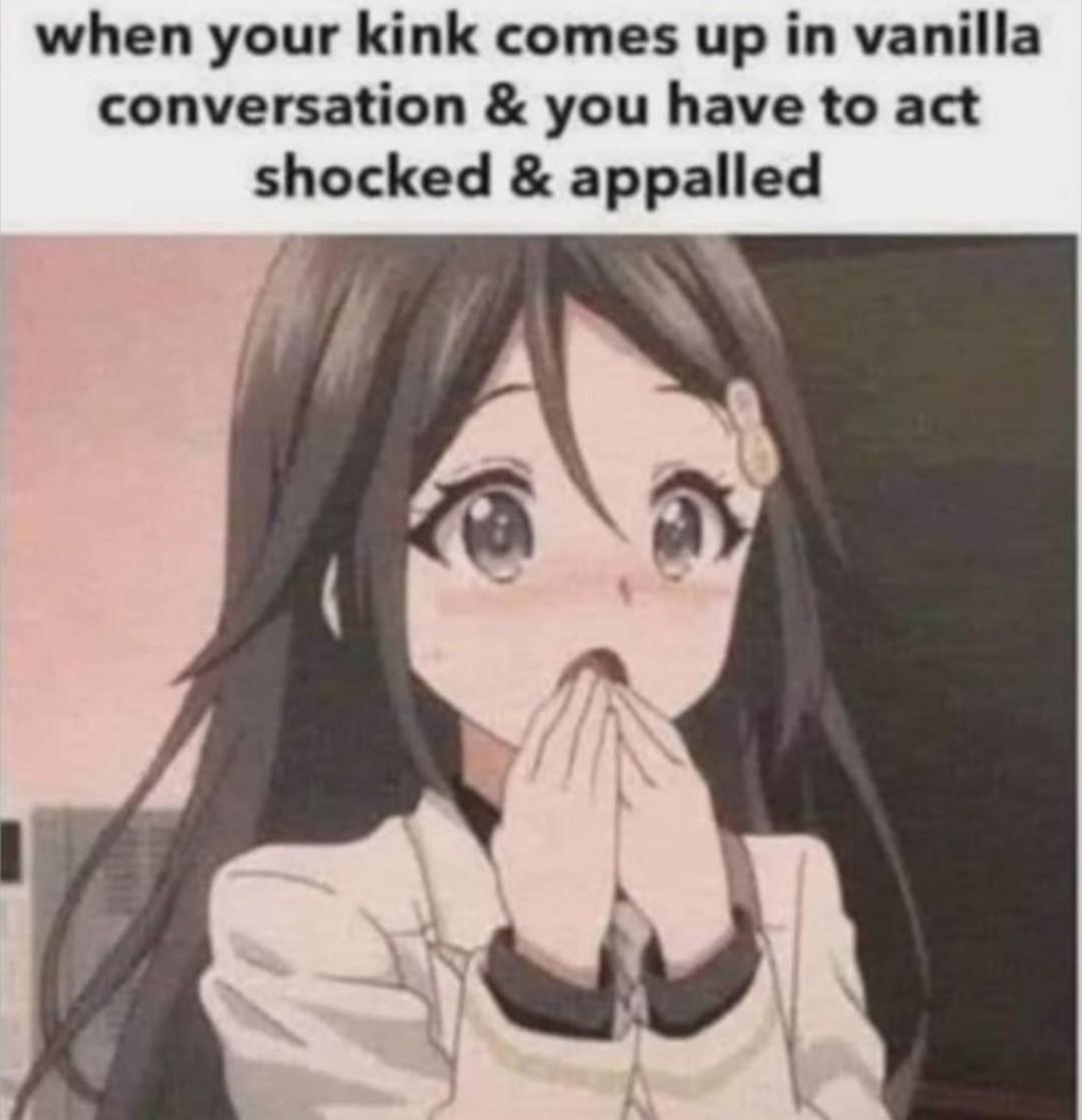 Anime girl with brown hair and big brown eyes with a shocked expression. Text above reads "when your kink comes up in vanilla conversation and you have to act shocked and appalled.