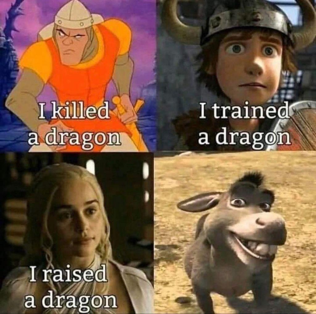 A four-panel meme showing four different characters, each with a text caption describing their interaction with a dragon:

Top-left panel: An illustration of Prince Lír from The Last Unicorn, a medieval knight character with blonde hair and a gold helmet. The caption below him reads: I killed a dragon.

Top-right panel: A still of Hiccup Haddock from How to Train Your Dragon, wearing a horned Viking helmet and looking slightly nervous or surprised. The caption reads: I trained a dragon.

Bottom-left panel: A still of Daenerys Targaryen from Game of Thrones, looking serious or determined. The caption reads: I raised a dragon.

Bottom-right panel: A still of Donkey from Shrek smiling widely with a goofy expression. The caption is cut off and is implied to be about his relationship with a dragon.