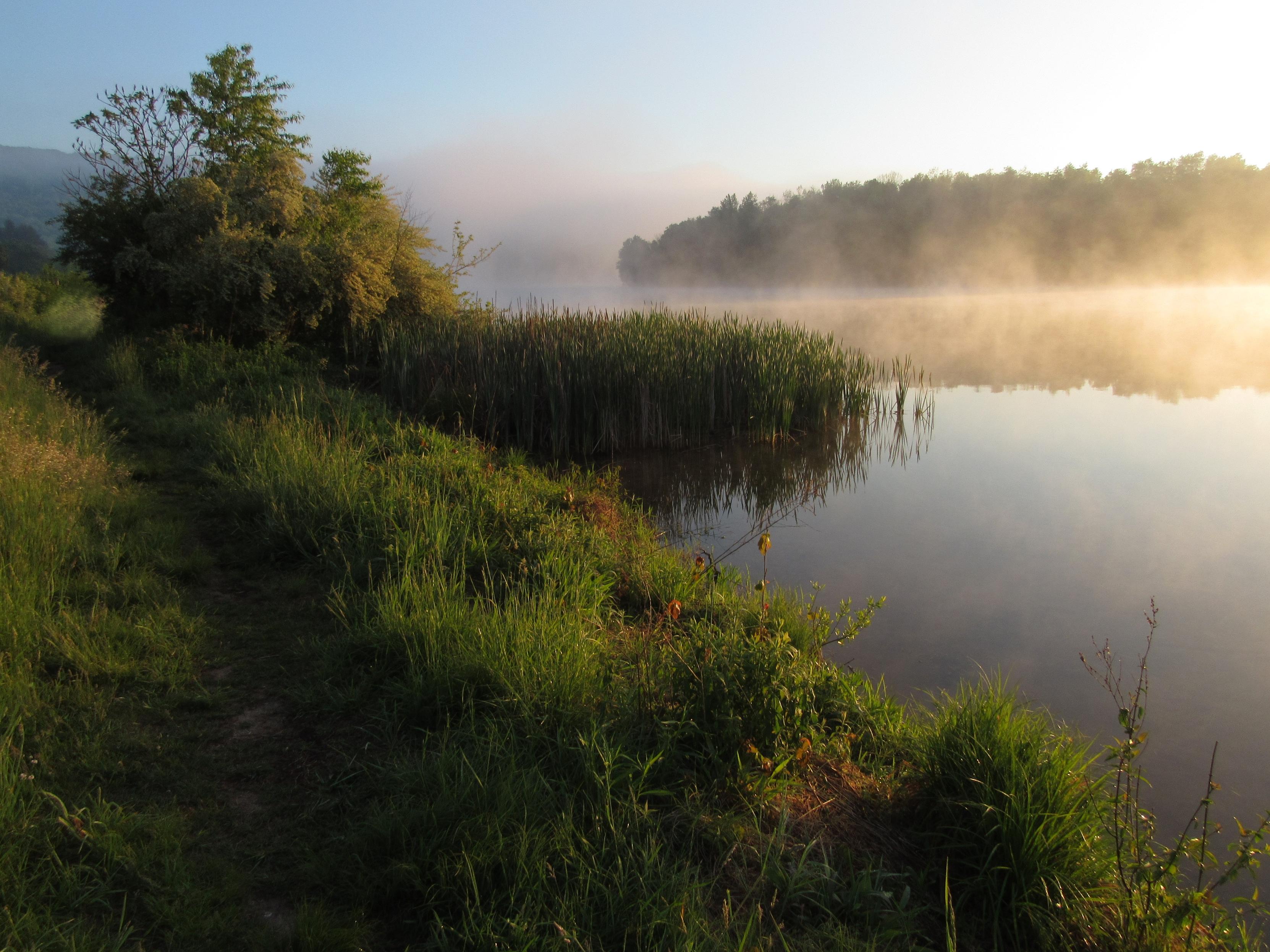 We are walking along a grassy trail along a lake. To our left is a field, but we aren't noticing that at the moment. Instead we are concentrating our energies and senses to what is to our right on this summer morning in the hour or two after sunrise. As Canada geese honk, and crows caw, song sparrows sing sweetly in the shrubs and trees we pass. As we walk, listening to the birds while I tell you of the mist dancing on the water and partly shrouding the ridge in the distance, we stray off the maintained path and into taller grass on either side. Darn! We'll have to check ourselves for ticks! There's a tree lined shore on the other side. I just caught a glimpse of a green heron over there. I heard it. Did you? Keow! (it called). There's a patch of cattails. As we pass we can hear birds fluttering around in the tall blades. They must be looking for food, I guess. Now a red winged blackbird calls. I can't see it, but it must be in some shrubs and trees just beyond the cattails. Hear it? The sun's getting higher. We've been walking for a while. Let's take the upper trail back when we get to it. We'll stop at the general store on the way home for a soda or iced tea and snacks. You're a great hiking partner. Let's do it again tomorrow!