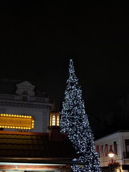 Christmas tree and decoration lights in the street