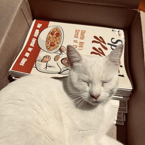 a white cat naps in a box alongside a stack of magazines that mock Charlie Kirk for being a racist.