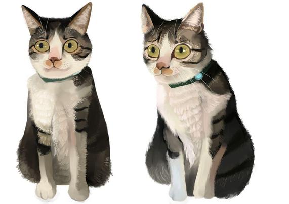 Digital art study of a cat, coloured with a white background