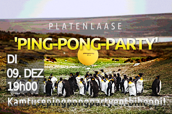 Pinguin-Vollversammlung in kalter, öder Landschaft. Ohne Schnee.
Einladung zur "Ping-Pong-Party" in Platenlaase, 9. Dezember, 19:00 Uhr.