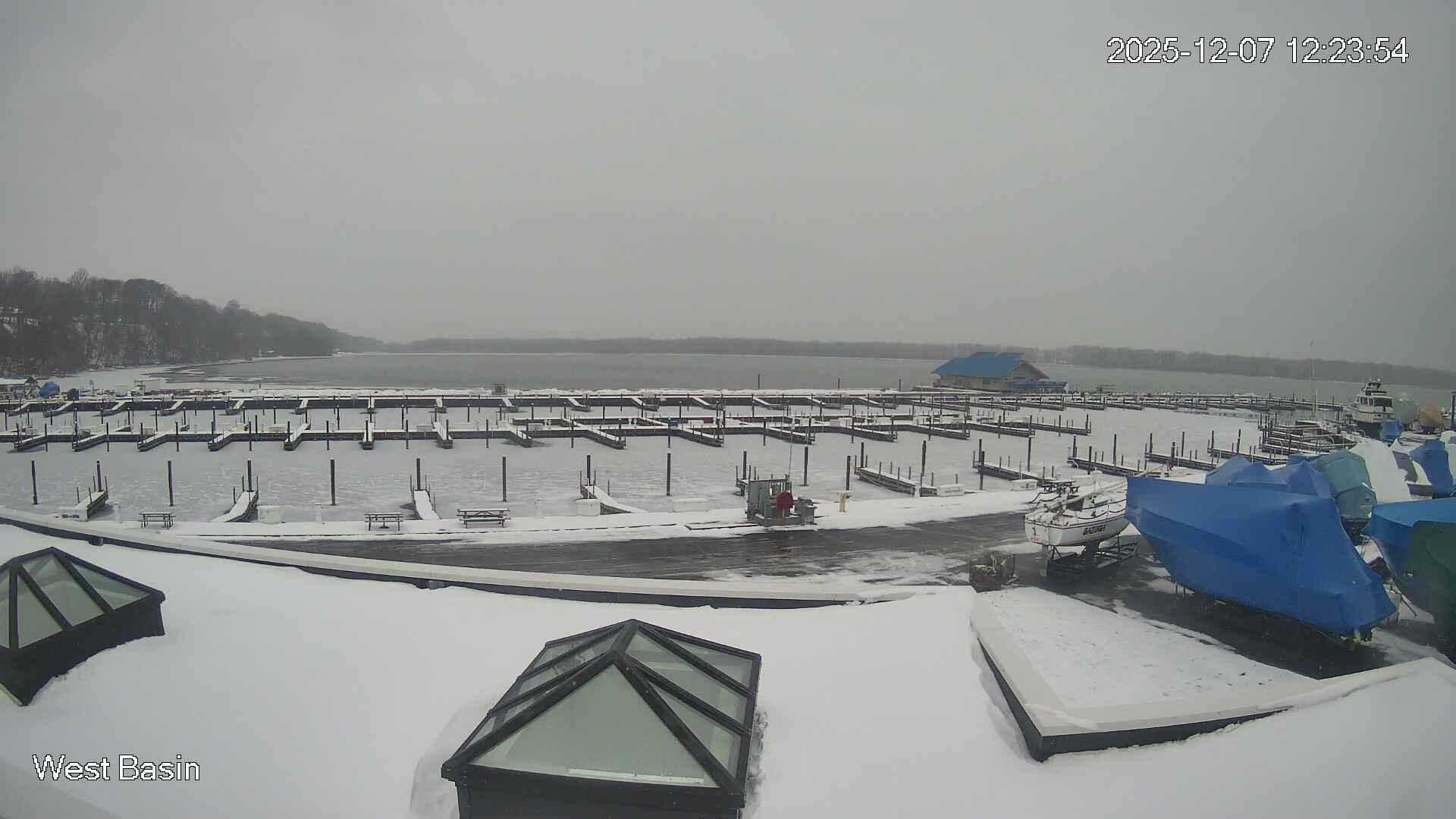 Photo from Sun, 07 Dec 2025 17:24:28 +0000