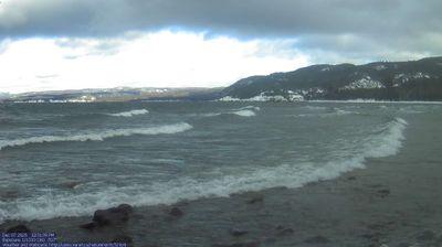 Photo from Sun, 07 Dec 2025 17:48:28 +0000