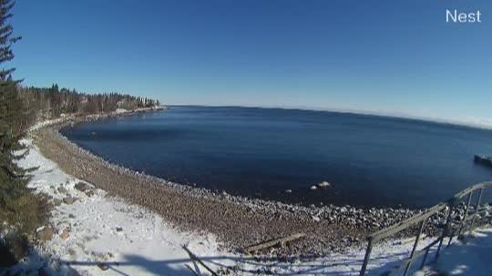 Photo from Sun, 07 Dec 2025 18:18:28 +0000