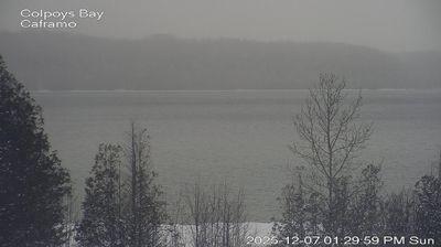 Photo from Sun, 07 Dec 2025 18:42:29 +0000