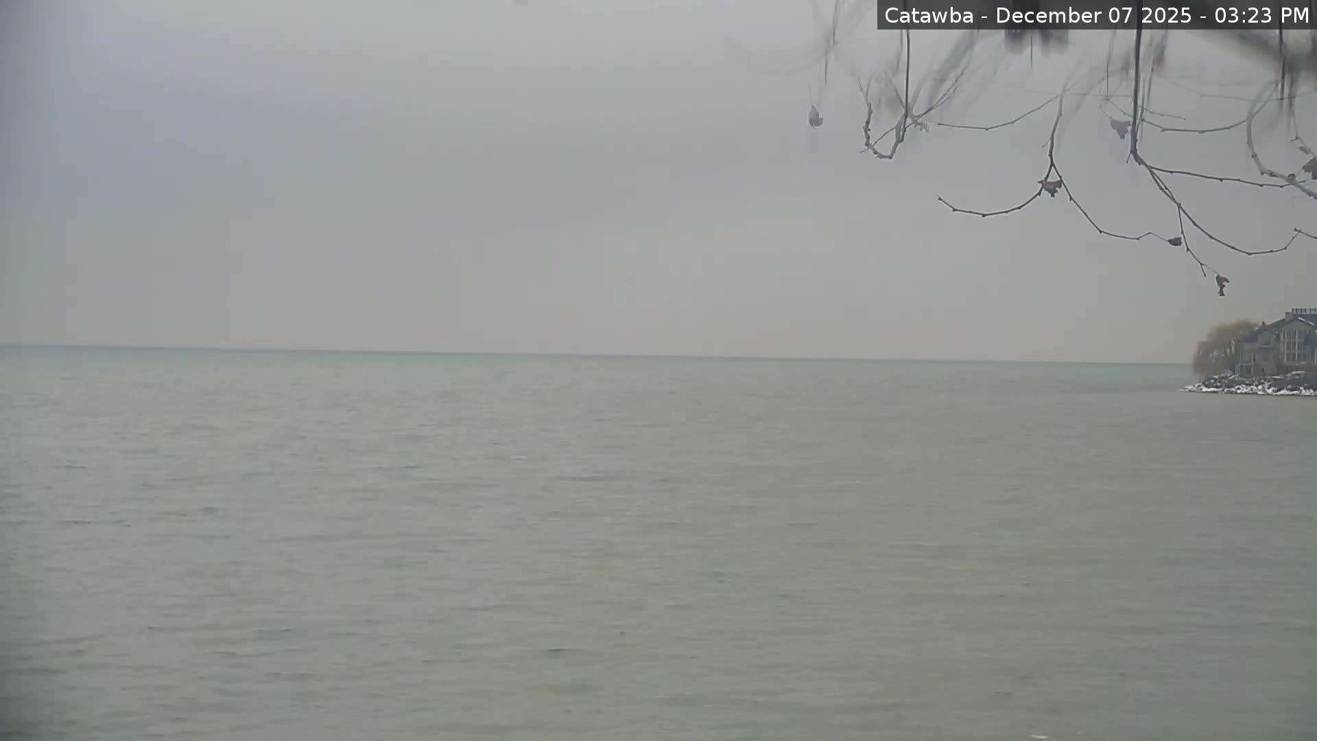 Photo from Sun, 07 Dec 2025 20:24:28 +0000