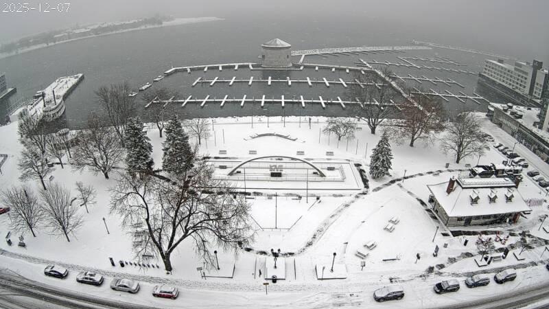 Photo from Sun, 07 Dec 2025 20:30:29 +0000