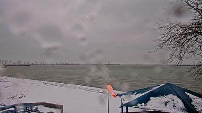 Photo from Sun, 07 Dec 2025 20:54:48 +0000