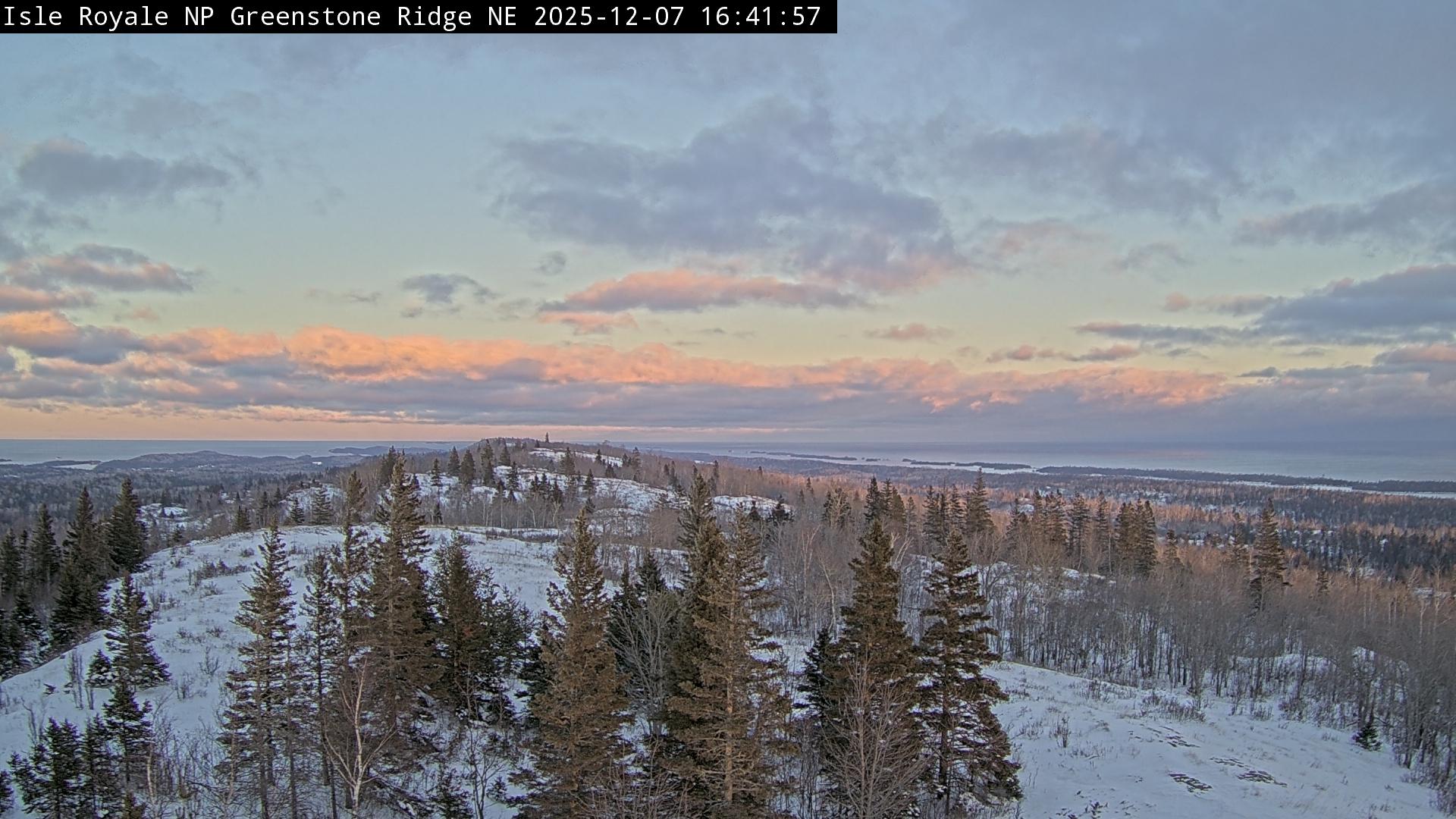 Photo from Sun, 07 Dec 2025 21:48:51 +0000