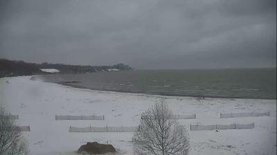 Photo from Sun, 07 Dec 2025 21:54:27 +0000