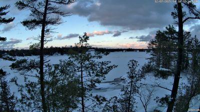 Photo from Sun, 07 Dec 2025 22:12:28 +0000