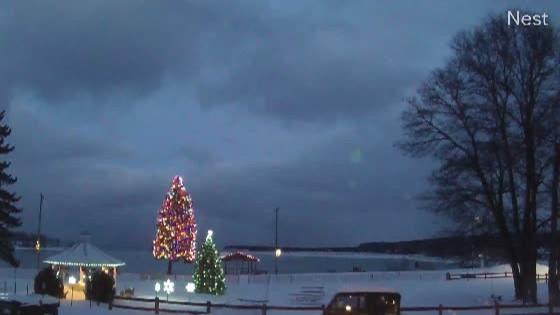 Photo from Sun, 07 Dec 2025 22:19:32 +0000