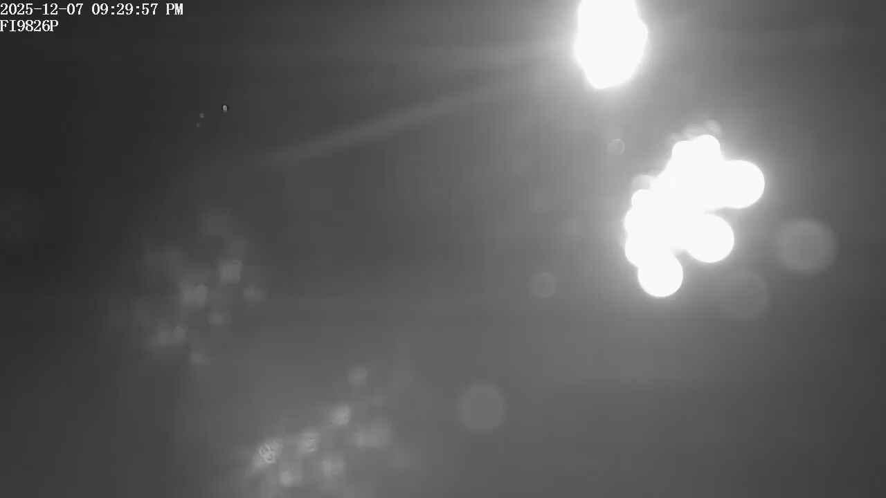 Photo from Mon, 08 Dec 2025 00:30:28 +0000