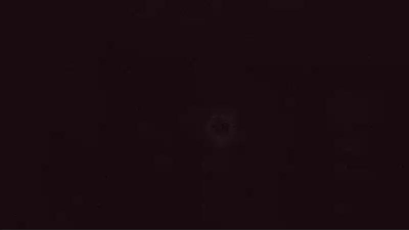 Photo from Mon, 08 Dec 2025 02:37:10 +0000