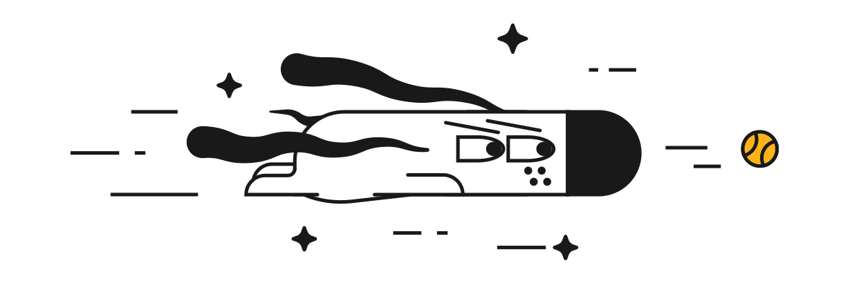 An image of a flying Doggo, the mascot of Kagi.com search engine.