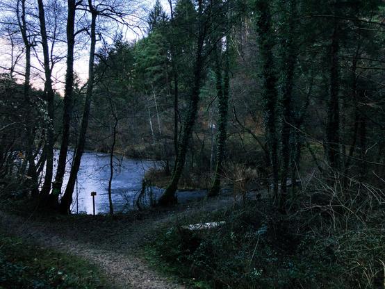 A frozen mountain lake surrounded by trees and a tiny isle on the right side of the lake near the path