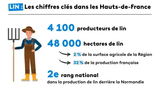Dans les Hauts-de-France, 18% des agriculteurs produisent du lin, soit 164 000 tonnes par an sur 48 000 hectares. Les Hauts-de-France sont la deuxième région de production de lin derrière la Normandie. 

Sources des indicateurs : Agreste RA 2020, SAA 2023, SEMAE 2024, Chambres d'agriculture Hauts-de-France. • © Infographie : Chloé Caron / FTV

après la culture du lin vient le teillage, qui consiste à faire des filasses en ballots avec la fibre de lin qui se trouve autour de la tige de la plante. Vient ensuite la filature qui peut être 'au sec' pour les tissus en lin d'ameublement ou 'au mouillé' pour l'habillement. Elle permet de constituer une bobine de fil qui va au peignage ensuite, le cas échéant. Et, enfin, le tissage consiste à effectuer des rouleaux de tissus qui sont ensuite colorés.

Filatures :  il faut aller en Italie, Pologne, Lituanie et en Chine ou en Inde pour en trouver. 

Quant aux usines textiles, elles se situent à 80% en Asie du sud-est.

via France 3

cf : empreinte carbone.