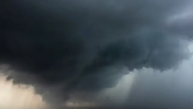 Facing the hurricane - The Lavender Gaze