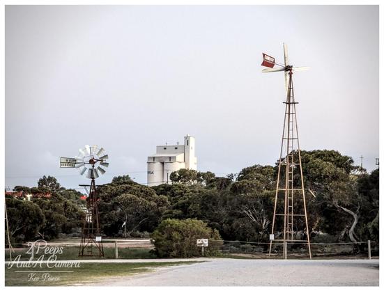 A photograph taken in Penong, South Australia, featuring two iconic, tall windmills standing prominently against a pale sky.
In the background, partially obscured by trees, is a large white grain silo structure. The foreground shows a dusty ground and low scrub.