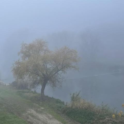 Foto de un paisaje otoñal con niebla. Se distingue un camino que bordea un río o lago. Algunos arbustos y un árbol.
Al fondo, apenas perceptibles por la niebla, se ven las copas de más árboles. 

Contenido terriblemente sensible.