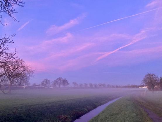 A serene landscape featuring a misty field under a twilight sky, displaying shades of pink and purple. A narrow stream runs along a path, while trees are softly silhouetted in the background.