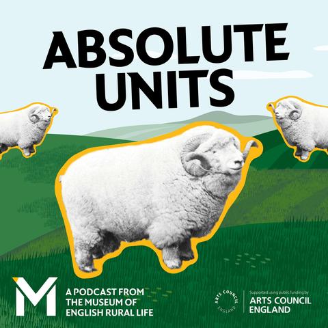 Absolute Units
The cover shows a bright, stylized countryside scene with green rolling hills under a pale blue sky with a few white clouds. In the foreground is a large, white, woolly ram outlined with a bold yellow border; three smaller rams with the same treatment float in the background at the edges of the image. At the top, large black text reads “ABSOLUTE UNITS.” In the bottom left is a white “M” logo with yellow accent and the text “A PODCAST FROM THE MUSEUM OF ENGLISH RURAL LIFE,” while the bottom right credits funding support from Arts Council England.
