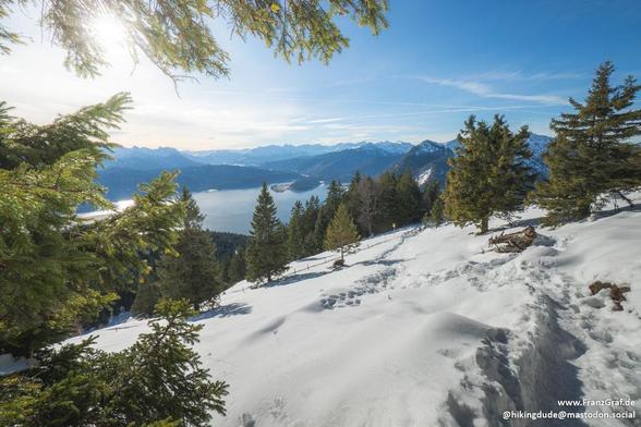 This image showcases a stunning winter landscape under a clear blue sky. The sun shines brightly, casting a warm glow over the snow-covered terrain. In the foreground, a blanket of pristine white snow covers the ground, with footprints marking a path through the winter wonderland.

Evergreen trees, their branches heavy with snow, frame the scene and add a touch of green to the otherwise monochromatic landscape. The trees lead the eye toward a breathtaking view of a vast valley and a serene lake…